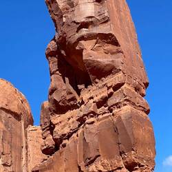 A close up of the face