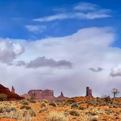 You don't realise how much foliage is on the valley floor