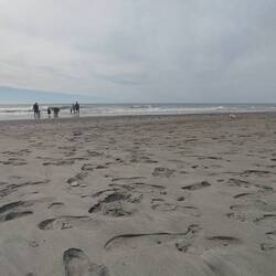 Da irgendwo konnte man die Delfine sehen :)