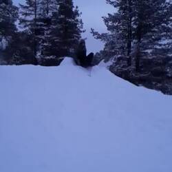 Brad enjoying his toboggan ride