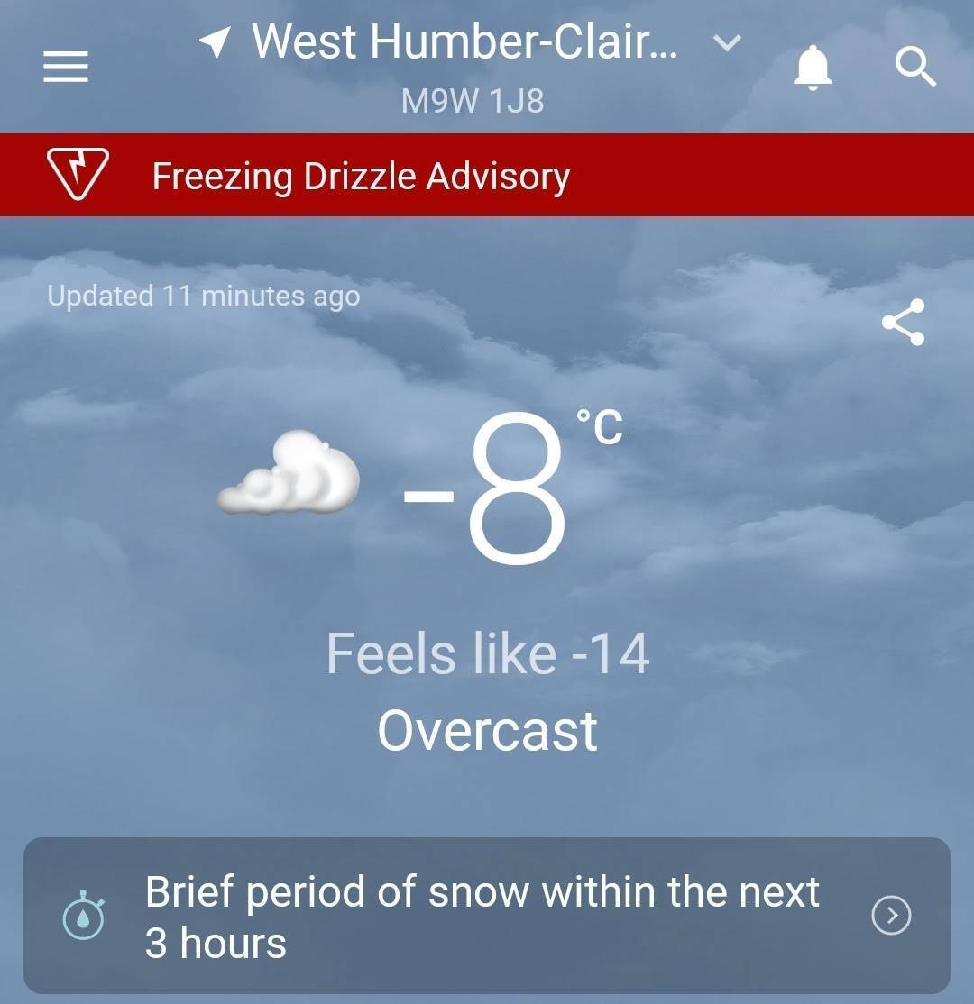 The forecast