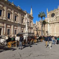 Horse drawn carriages outside the Cathedral