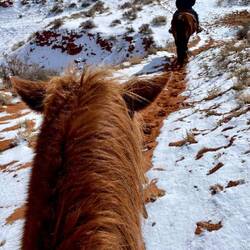 Willy doing a great job