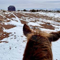 On our way - this is Willy