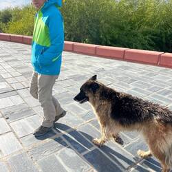 Und wieder einmal werden wir auf unserem Spaziergang an den See begleitet.