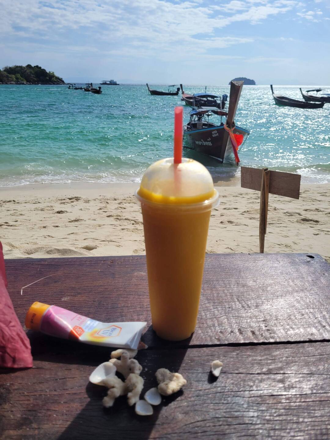 My morning mango shake - just mango and ice. Yum!