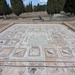 The "Mosaic of the birds"