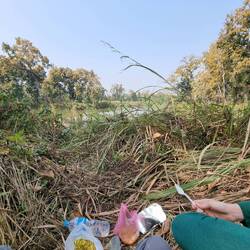 Hier haben wir 2h lang auf den Tiger gewartet (und Lunch gehabt)