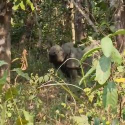 Es knackte laut und plötzlich stand der Kollege hier vor uns