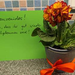 Lieber Gruß von den Nachbarn