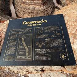 How the goosenecks were formed