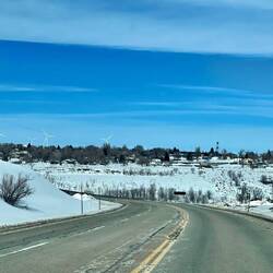 From desert scenes to snow covered paddocks
