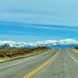 The crispness of the snow against the road