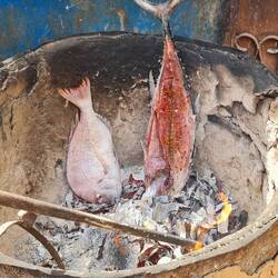 Cooking fish for lunch in a tandoori