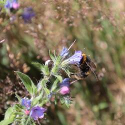Die haben wichtigeres zu tun😉