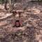 Cu Chi Tunnels, versteckte Igang
