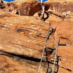 The ladder you need to take