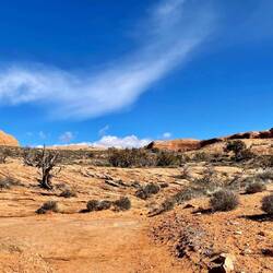 The scenery on the way to the arch