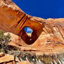 Bowtie Arch, a pothole arch that formed when a pothole fille with water & over time eroded the rock