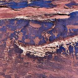 The Petroglyphs