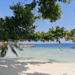 🏝️