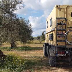 Unser toller Stellplatz im Olivenhain