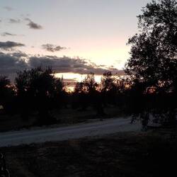 ...mit Abendstimmung