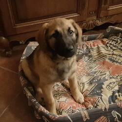 Könnten wir soooo mitnehmen, den Racker