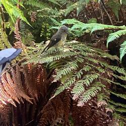 Besuch am Campingplatz