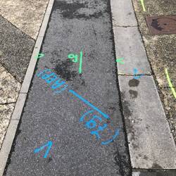 look at those colors!