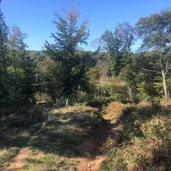 not the best path for heavily loaden bikes