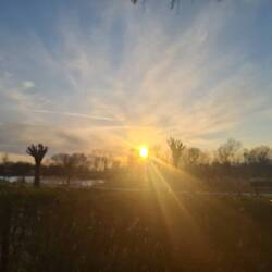 Sonnenuntergang an der Saonne