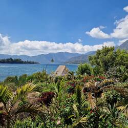 Blick von der Terrasse