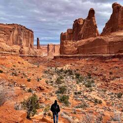 Heading down into Park Avenue