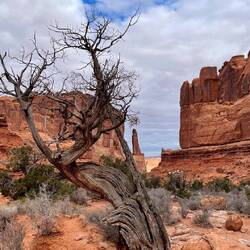 Another photo opportunity