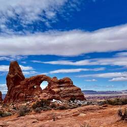 Looking out to the South Window