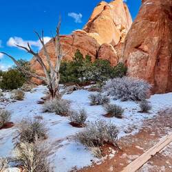 Snow, blue sky, red rock equals perfection