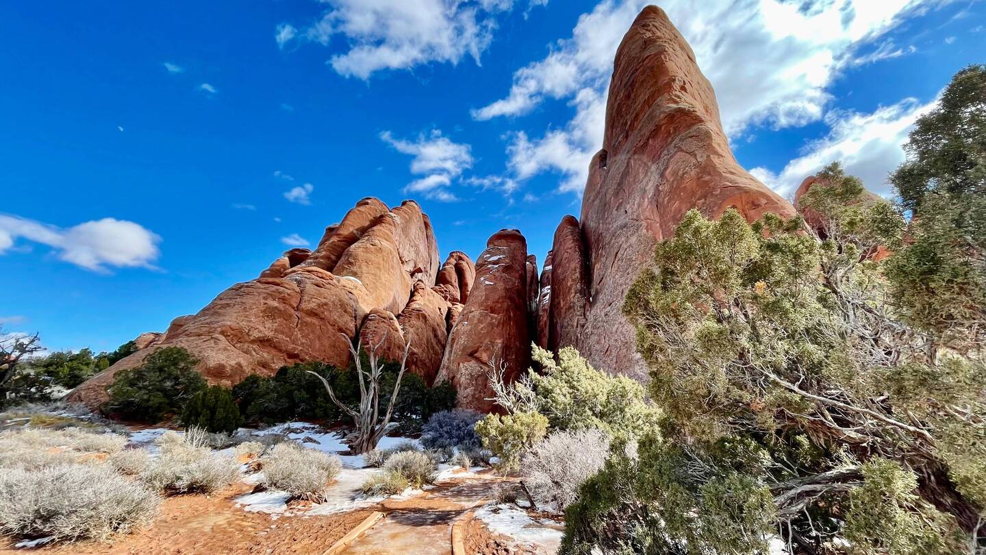 The trail to Sand Dune Arch