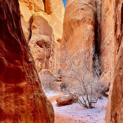 Walking into Sand Dune Arch