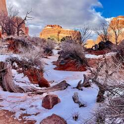 We would never get sick of seeing snow on red soil and rocks