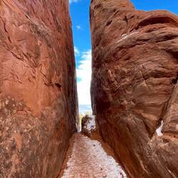 A slight incline in the trail