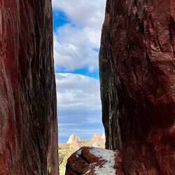 Nature's frame