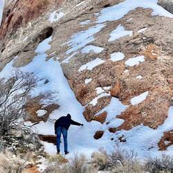 Another chance to write Aussie in the snow