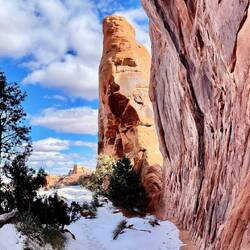 Looking out from Pine Tree Arch