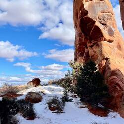 Looking out at the distance