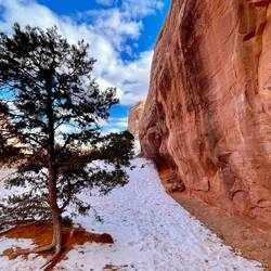 The snow made for a slippery walk into Pine Tree Arch