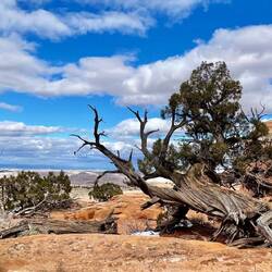 Could look at this view all day