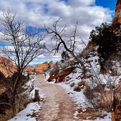 The trail from Landscape Arch