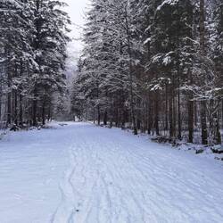 Oder auch doch nicht so geräumte Wege :D