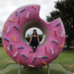 Springfield... leider hatte der Donut-Stand daneben zu